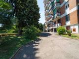 Appartamento, SEGRATE, 250.000 €, 75,00 mq