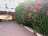 Appartamento, FIUMICINO, 215.000 €, 52,00 mq