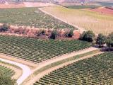 Casa, MONTEPULCIANO, <i>A richiesta</i>, 1200,00 mq