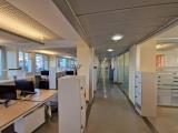 Affitto, Superfici commerciali, ROMA, Colombo, 17.000 €, 850,00 mq
