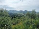 Particella, CORTONA, 50.000 €, 6940,00 mq