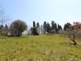 Particella, ROSETO DEGLI ABRUZZI, 28.000 €, 1500,00 mq