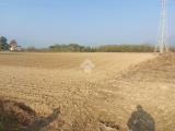 Particella, CUMIANA, 45.000 €, 10000,00 mq