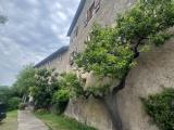 Appartamento, TRENTO, 230.000 €, 121,00 mq