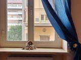 Appartamento, ROMA, 139.000 €, 42,00 mq