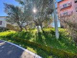 Particella, COSENZA, 35.000 €, 1000,00 mq