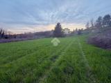 Particella, SIRTORI, 120.000 €, 5790,00 mq