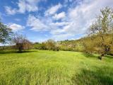 Particella, IMPRUNETA, 85.000 €, 34000,00 mq
