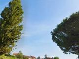 Particella, RIPE, 55.000 €, 595,00 mq