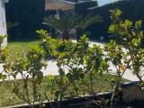 Appartamento, ISCHIA, 750.000 €, 320,00 mq