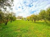 Particella, FOSSÒ, 95.000 €, 1040,00 mq