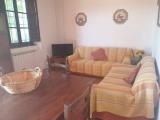 Affitto, Casa, VIAREGGIO, <i>A richiesta</i>, 120,00 mq