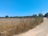 Particella, SPONGANO, 16.000 €, 5130,00 mq
