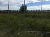 Particella, CASALUCE, 45.000 €, 3800,00 mq