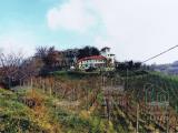 Superfici commerciali, ROCCA GRIMALDA, 890.000 €, 550,00 mq