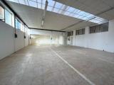 Superfici commerciali, VILLANOVA DI CAMPOSAMPIERO, 225.000 €, 215,00 mq