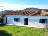 Casa, LOIRI PORTO SAN PAOLO, <i>A richiesta</i>, 115,00 mq