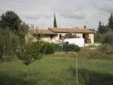 Casa, MONTESCUDAIO, <i>A richiesta</i>, 450,00 mq