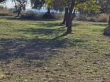 Particella, CONTRADA, 96.000 €, 9600,00 mq