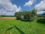 Particella, CUMIANA, 15.000 €, 1800,00 mq