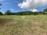 Particella, NOCERA UMBRA, 12.000 €, 8500,00 mq