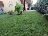 Appartamento, MASSA, 259.000 €, 65,00 mq