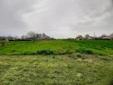 Particella, MIRA, Malpaga, 30.000 €, 7721,00 mq