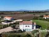 Casa, CAPALBIO, 780.000 €, 293,00 mq