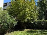 Appartamento, CONEGLIANO, 250.000 €, 120,00 mq