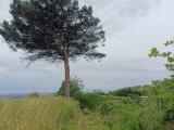 Particella, NAPOLI, 55.000 €, 15000,00 mq