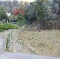 Particella, AVEGNO, 50.000 €