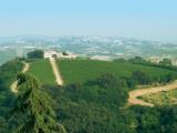Superfici commerciali, ACQUAVIVA PICENA, 2.560.000 €, 4515,00 mq