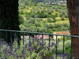 Affitto, Casa, FIRENZE, 3.500 €, 200,00 mq