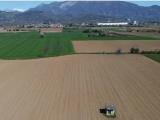 Particella, BONATE SOTTO, 50.000 €