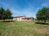 Particella, GAVORRANO, 150.000 €, 11346,00 mq
