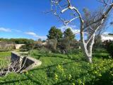 Particella, NARDÒ, 140.000 €, 2299,00 mq