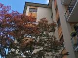 Appartamento, VARESE, 239.000 €, 115,00 mq
