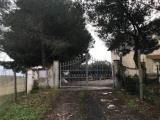 Casa, CASTELLINA MARITTIMA, 300.000 €, 124,00 mq