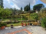 Particella, MASCALUCIA, 78.000 €, 1600,00 mq