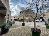 Affitto, Superfici commerciali, GROSSETO, 520 €, 47,00 mq