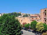 Affitto, Superfici commerciali, VELLETRI, 650 €, 65,00 mq