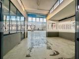 Affitto, Superfici commerciali, ALESSANDRIA, 3.500 €, 2100,00 mq