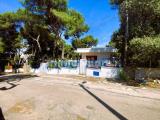 Affitto, Appartamento, PULSANO, <i>A richiesta</i>, 130,00 mq