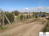 Particella, ROMA, 30.000 €, 1056,00 mq