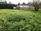 Particella, GIUSSANO, 80.000 €, 2000,00 mq