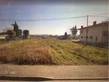 Particella, RIVIGNANO, 79.000 €, 2900,00 mq