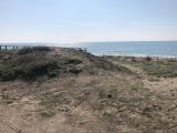 Particella, LATINA, 350.000 €, 15000,00 mq