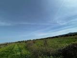 Affitto, Particella, MARINO, 600 €, 16695,00 mq