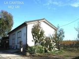 Particella, ROCCASTRADA, Montemassi, 900.000 €, 310,00 mq