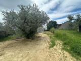 Particella, MONTELIBRETTI, 19.000 €, 1600,00 mq